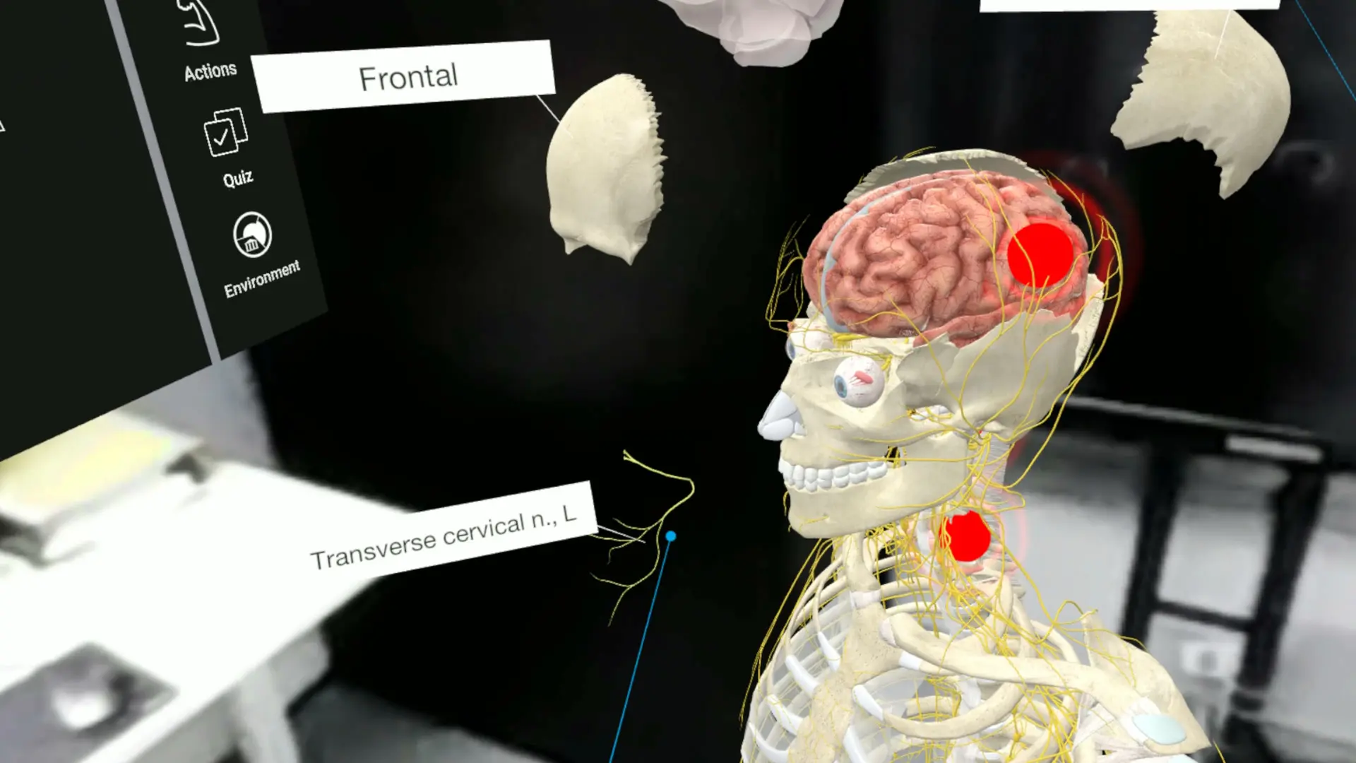 图片[4]-3D Organon VR 人体解剖学 VR-勇士吧