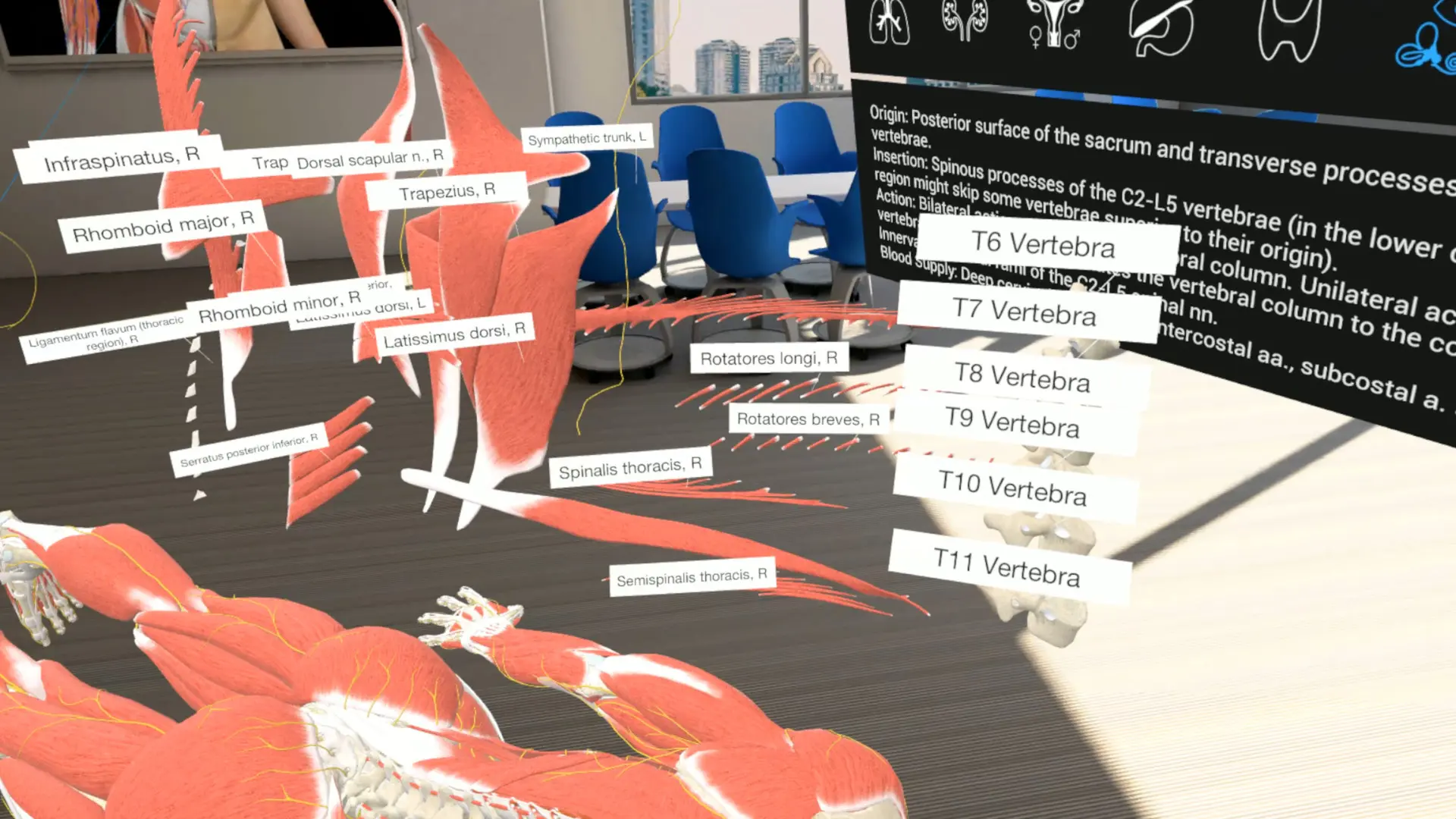 图片[2]-3D Organon VR 人体解剖学 VR-勇士吧