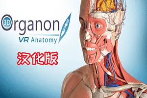 3D Organon VR 人体解剖学 VR-勇士吧
