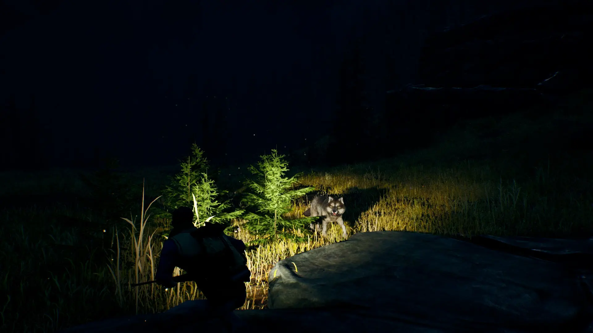 图片[2]-辽阔旷野 Open Country-勇士吧