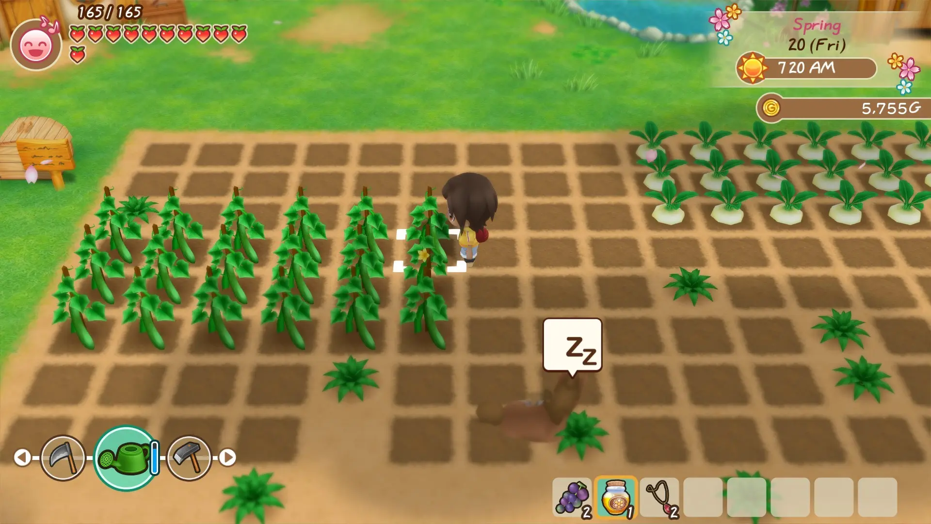 图片[1]-牧场物语 重聚矿石镇 STORY OF SEASONS Friends Mineral Town v1.0.0Steam版 官方中文-勇士吧