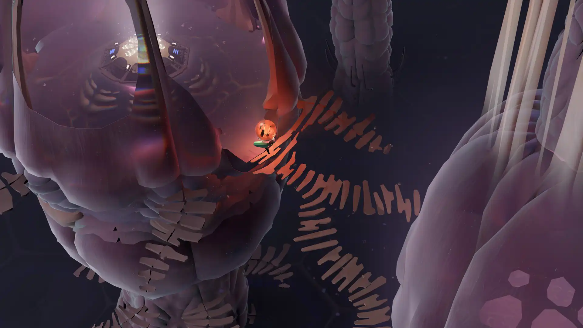 茧 Cocoon v2024.02.22版 官方中文-勇士吧